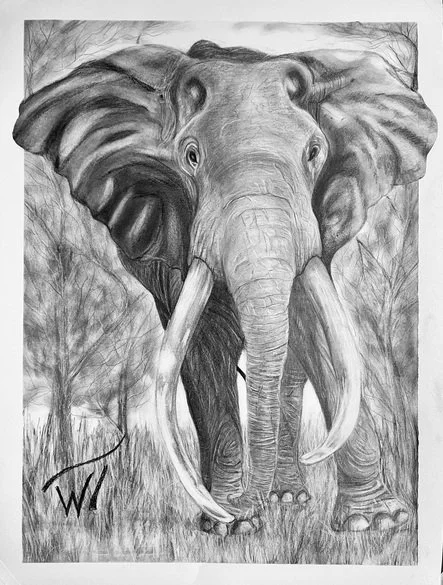 WTart-African Elephant Print - Japanese Pearl Luster Paper